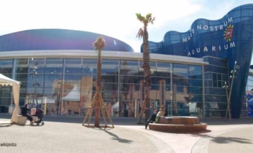 Planet Ocean Montpellier